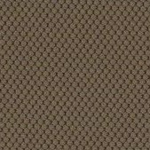 BL409 Taupe [+24,89 €]